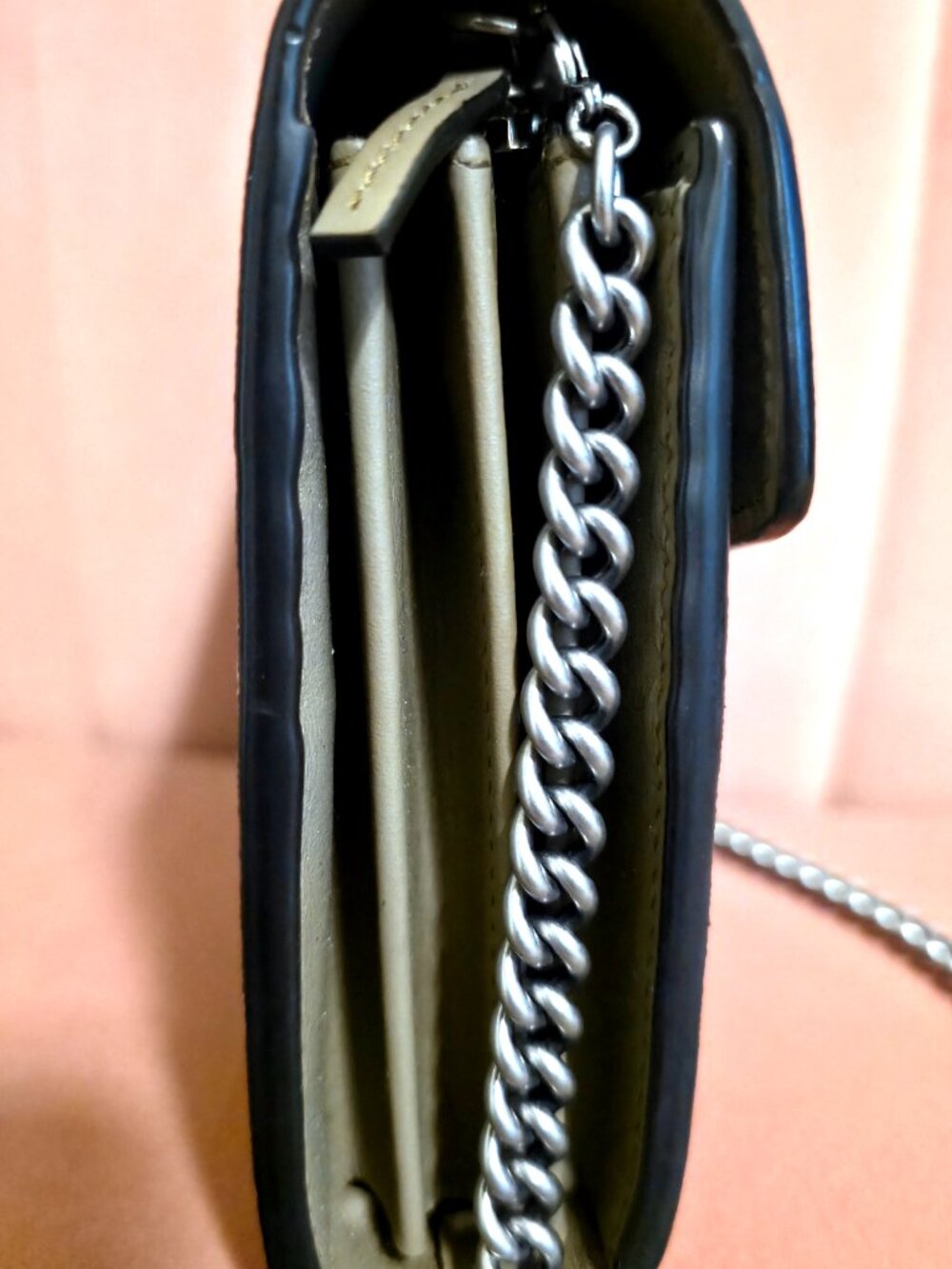 GG Supreme Monogram Dionysus Chain Wallet Beige Taupe - Picture 6 of 11